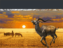 Tablet Screenshot of huntinafrica.com